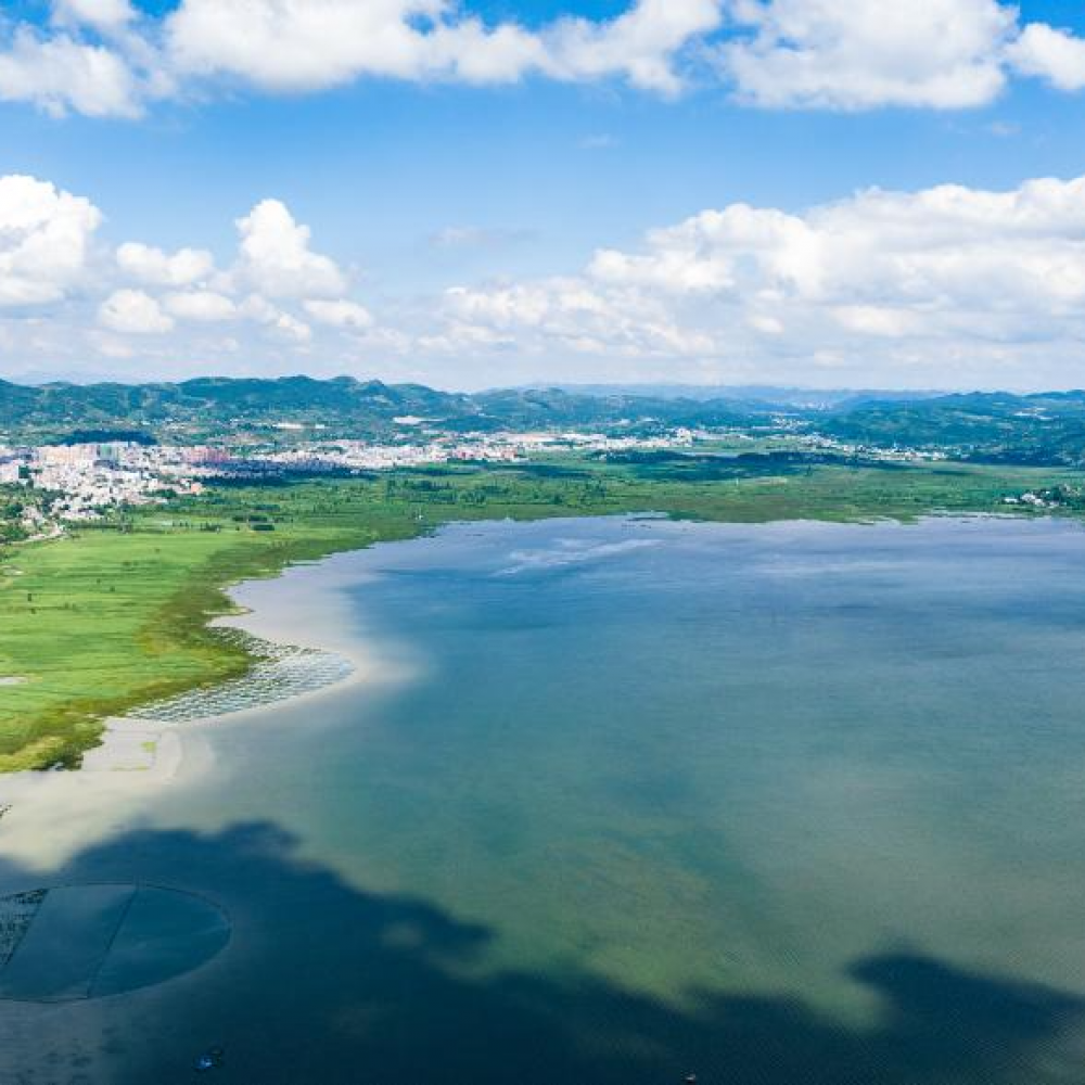 草海夏日风光美 