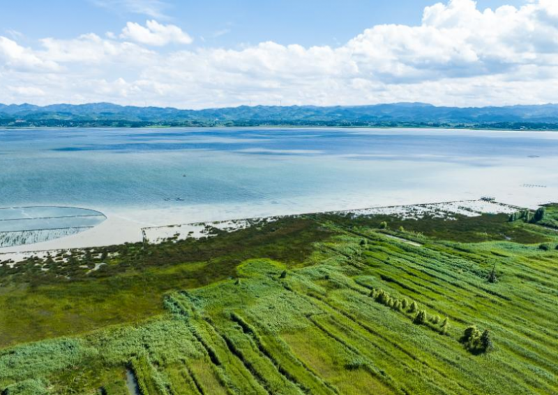 草海夏日风光美 