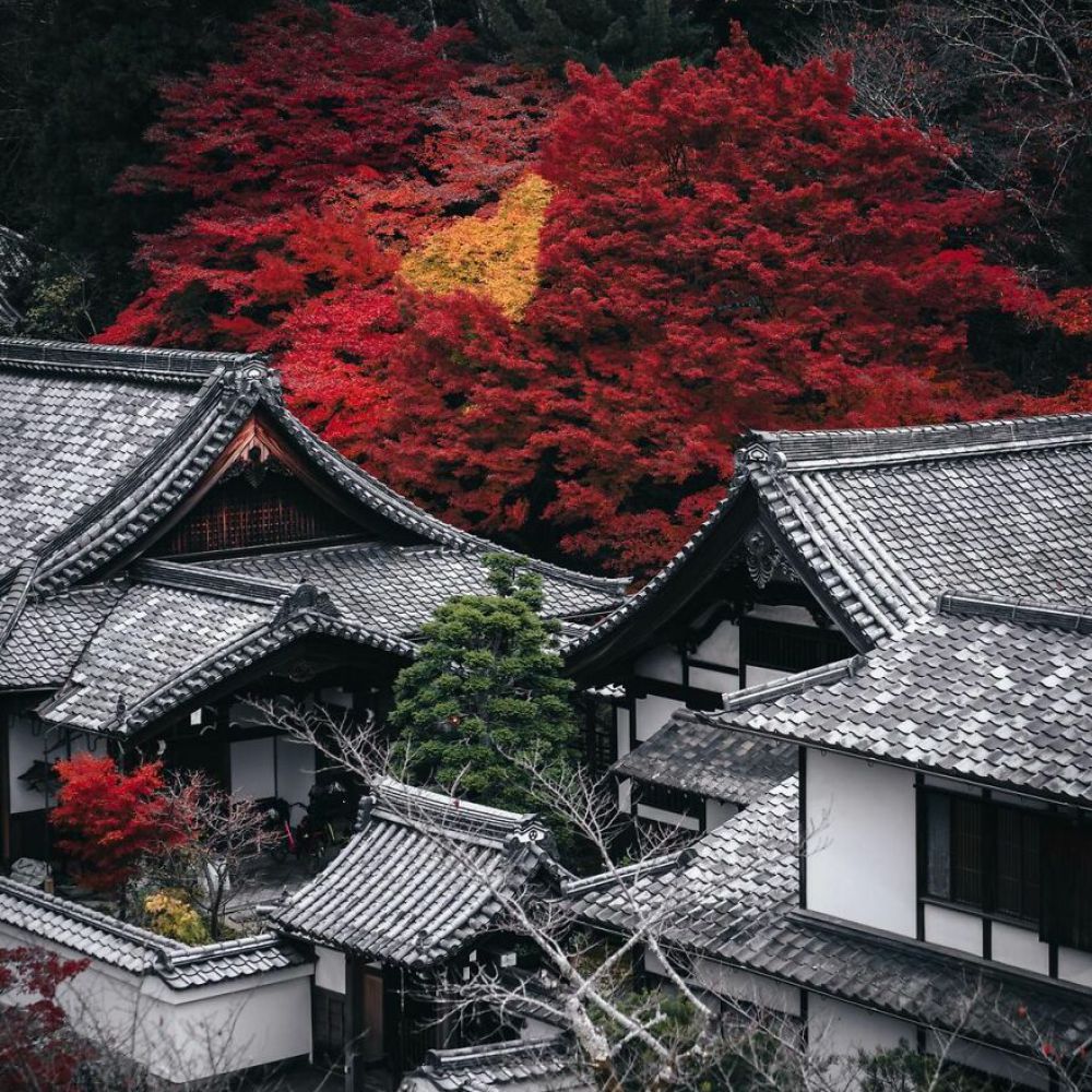 日本摄影师用镜头记录下亚洲最美风景