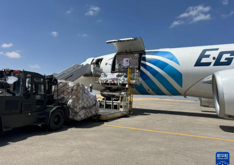 中国新援助巴勒斯坦的一批物资运抵埃及 