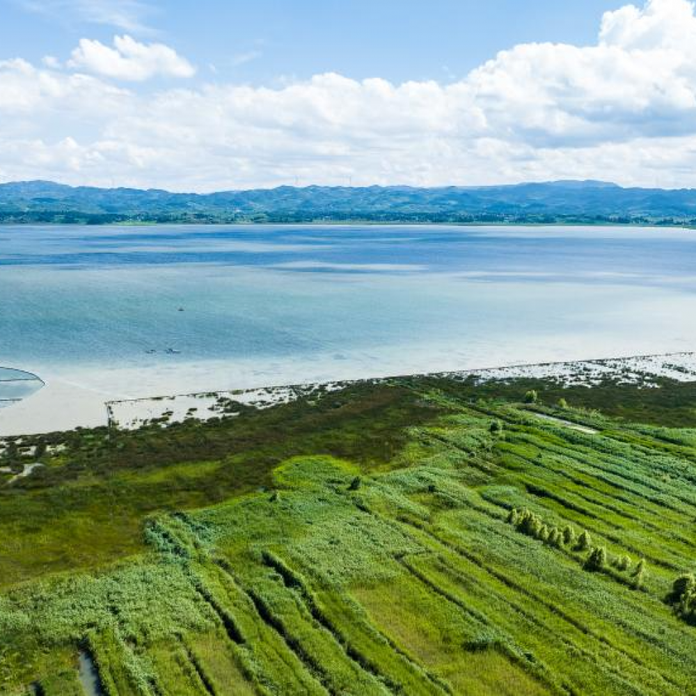 草海夏日风光美 