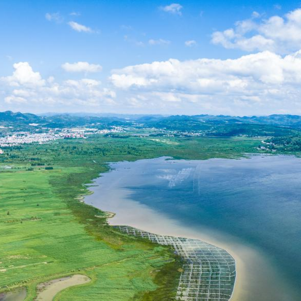 草海夏日风光美 
