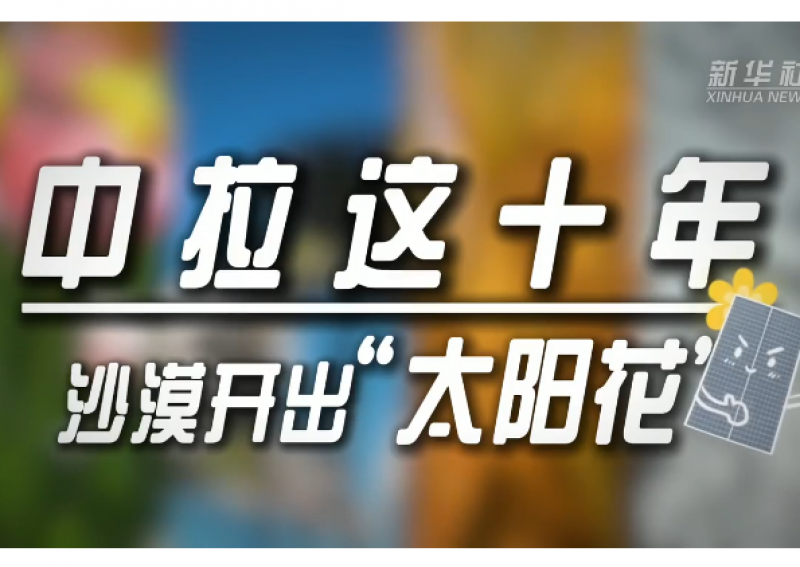 中拉这十年 | 沙漠开出“太阳花” 