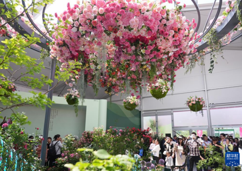 第九届国际月季大会在北京举办 