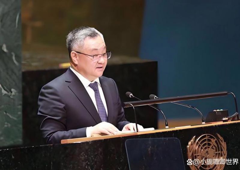 中国代表呼吁共同捍卫二战胜利成果