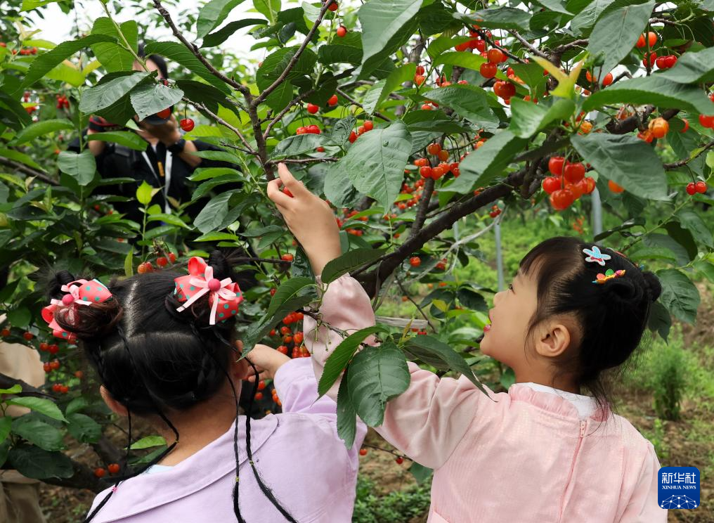 重庆綦江：“奇妙村”激活乡村文旅新活力