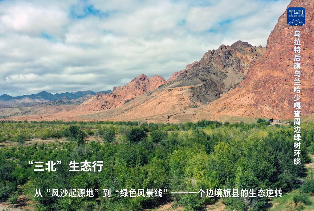 “三北”生态行：从“风沙起源地”到“绿色风景线”——一个边境旗县的生态逆转