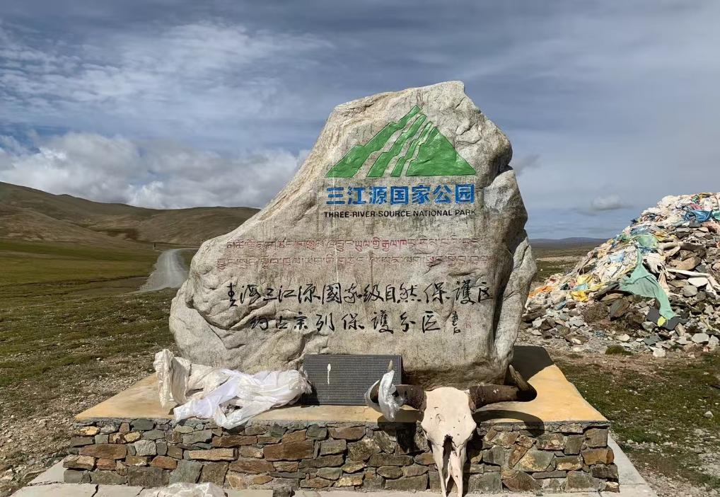 追光丨耳边只有波涛与心跳声他们在抢渡黄河挑战赛中迎接毕业季