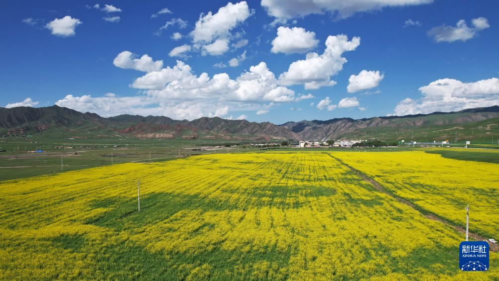 美丽中国丨夏日桑科草原
