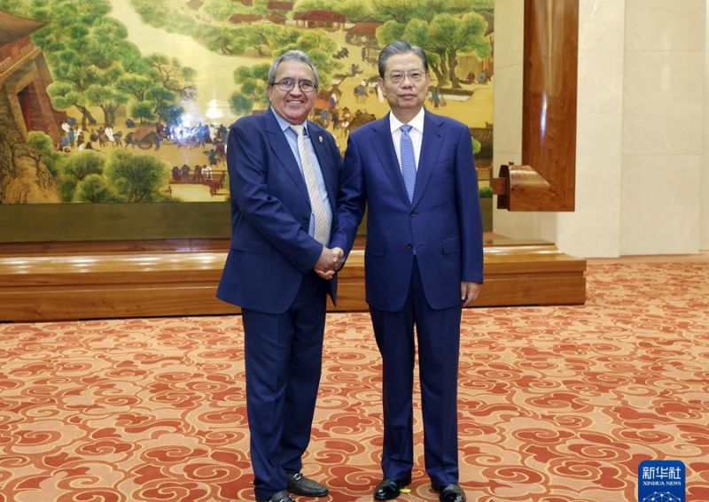 赵乐际同中美洲议会议长塞鲁德举行会谈 