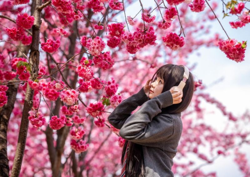 别样中国｜花开时节又逢君