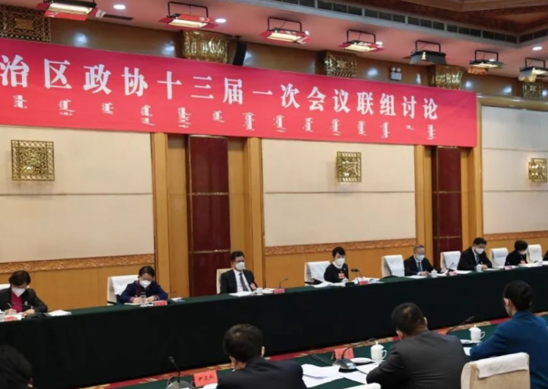 内蒙古自治区主席王莉霞参加自治区政协委员联组讨论